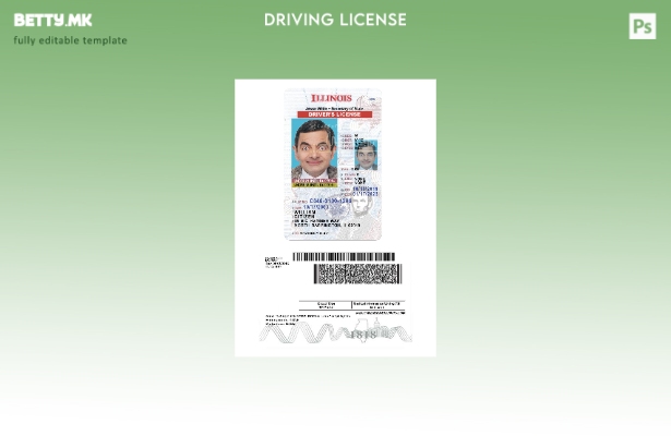 Возачка дозвола во модерен стил САД Илиноис под шаблон